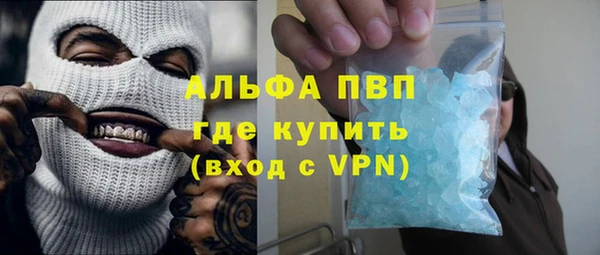крисы Горняк