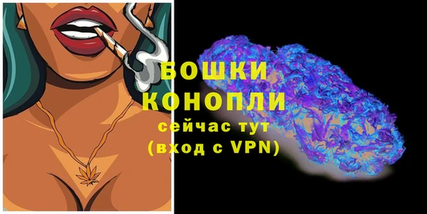 крисы Горняк