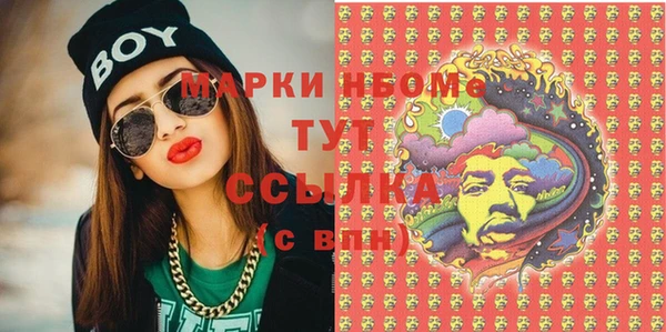 крисы Горняк