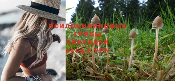 тгк Горнозаводск