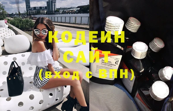крисы Горняк