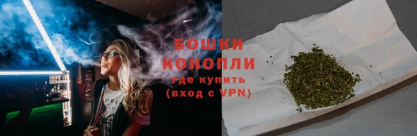 тгк Горнозаводск