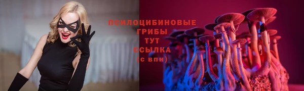 альфа пвп Горно-Алтайск