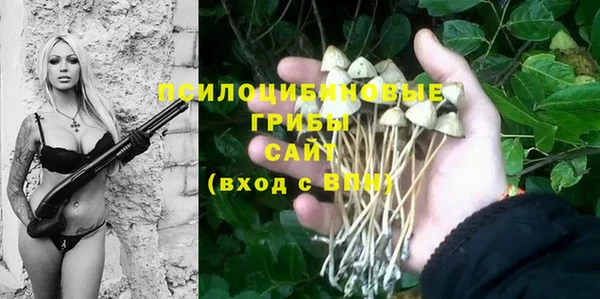 крисы Горняк
