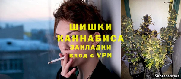 крисы Горняк